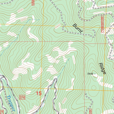 US Forest Service - Topo Burnt Ridge, MT FSTopo Legacy digital map