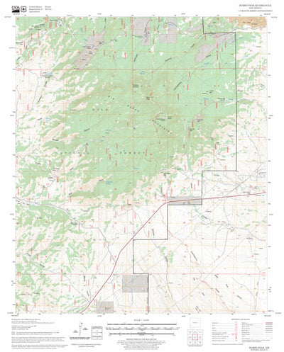 US Forest Service - Topo Burro Peak, NM FSTopo Legacy digital map
