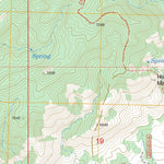 US Forest Service - Topo Burro Peak, NM FSTopo Legacy digital map