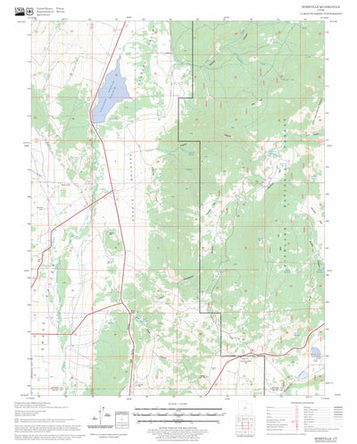 US Forest Service - Topo Burrville, UT FSTopo Legacy digital map