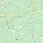 US Forest Service - Topo Bush River, SC FSTopo Legacy digital map
