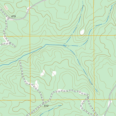 US Forest Service - Topo Bush River, SC FSTopo Legacy digital map