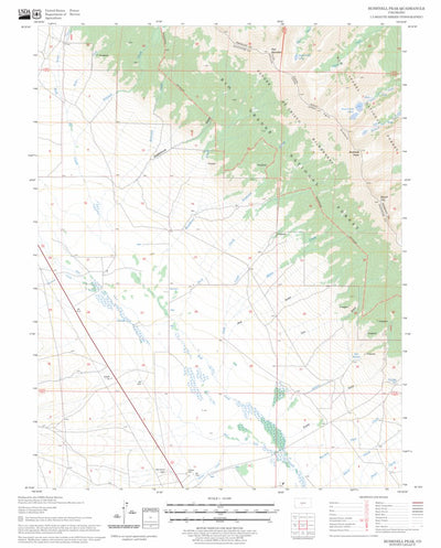 US Forest Service - Topo Bushnell Peak, CO FSTopo Legacy digital map