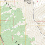 US Forest Service - Topo Bushnell Peak, CO FSTopo Legacy digital map