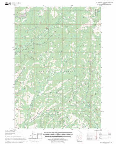 US Forest Service - Topo Butterfield Gulch, ID FSTopo Legacy digital map