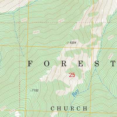 US Forest Service - Topo Butts Creek Point, ID FSTopo Legacy digital map