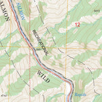 US Forest Service - Topo Butts Creek Point, ID FSTopo Legacy digital map