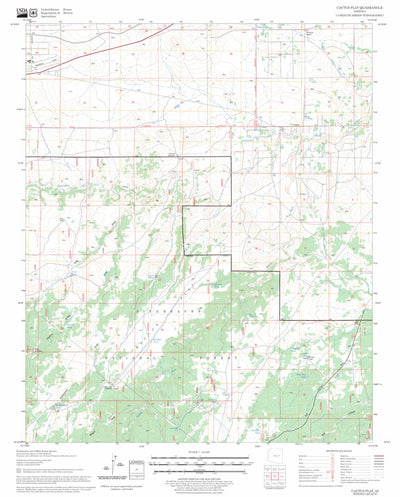 US Forest Service - Topo Cactus Flat, AZ FSTopo Legacy digital map