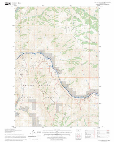 US Forest Service - Topo Cactus Mountain, OR - ID FSTopo Legacy digital map