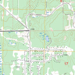 US Forest Service - Topo Cadillac North, MI FSTopo Legacy digital map