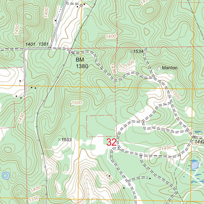 US Forest Service - Topo Cadillac North, MI FSTopo Legacy digital map