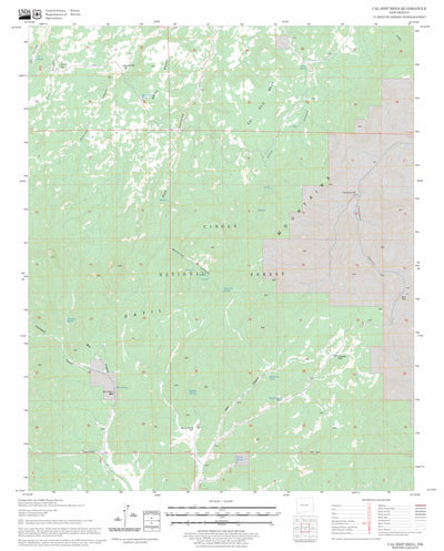 US Forest Service - Topo Cal Ship Mesa, NM FSTopo Legacy digital map