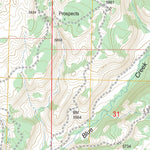 US Forest Service - Topo Calamity Mesa, CO FSTopo Legacy digital map