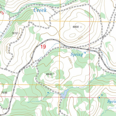 US Forest Service - Topo California Mountain, NV FSTopo Legacy digital map