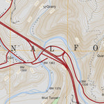 US Forest Service - Topo Callaghan, VA FSTopo Legacy digital map