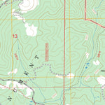 US Forest Service - Topo Camp Nelson, CA FSTopo Legacy digital map