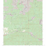 US Forest Service - Topo Camp Wishon, CA FSTopo Legacy digital map