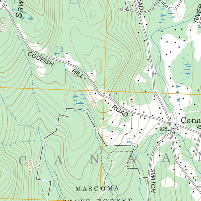 US Forest Service - Topo Canaan, NH - VT FSTopo Legacy digital map