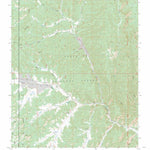 US Forest Service - Topo Canada Ojitos, NM FSTopo Legacy digital map