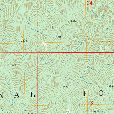 US Forest Service - Topo Canada Ojitos, NM FSTopo Legacy digital map