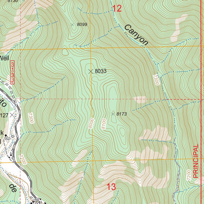 US Forest Service - Topo Canada Ojitos, NM FSTopo Legacy digital map