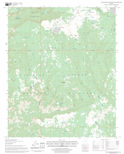 US Forest Service - Topo Cane Springs Mountain, AZ FSTopo Legacy digital map