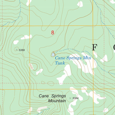 US Forest Service - Topo Cane Springs Mountain, AZ FSTopo Legacy digital map