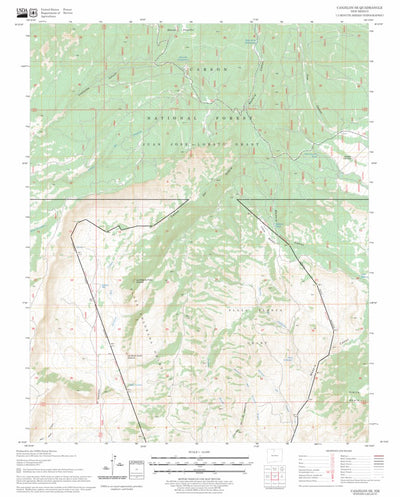 US Forest Service - Topo Canjilon SE, NM FSTopo Legacy digital map