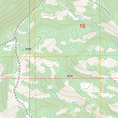 US Forest Service - Topo Canjilon SE, NM FSTopo Legacy digital map