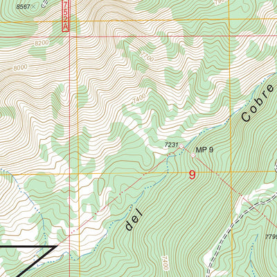 US Forest Service - Topo Canjilon SE, NM FSTopo Legacy digital map