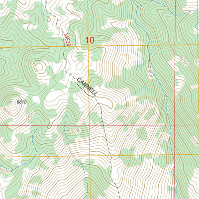 US Forest Service - Topo Cannell Peak, CA FSTopo Legacy digital map