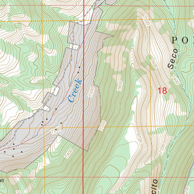 US Forest Service - Topo Canones, NM FSTopo Legacy digital map
