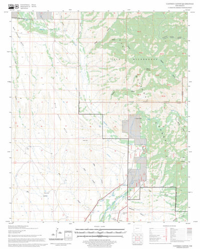 US Forest Service - Topo Canteen Canyon, NM FSTopo Legacy digital map