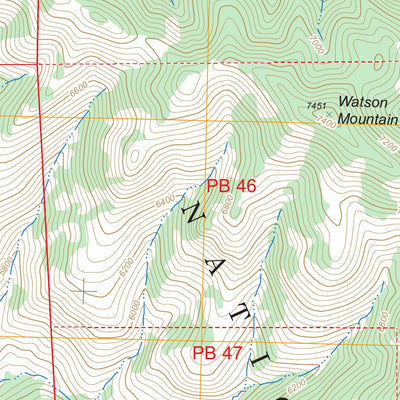 US Forest Service - Topo Canteen Canyon, NM FSTopo Legacy digital map