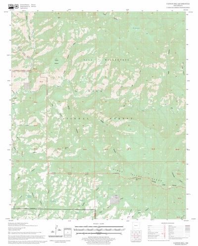 US Forest Service - Topo Canyon Hill, NM FSTopo Legacy digital map