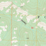 US Forest Service - Topo Canyon Hill, NM FSTopo Legacy digital map