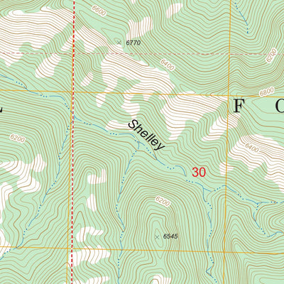 US Forest Service - Topo Canyon Hill, NM FSTopo Legacy digital map