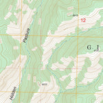 US Forest Service - Topo Canyon Hill, NM FSTopo Legacy digital map