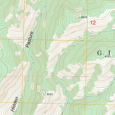 US Forest Service - Topo Canyon Hill, NM FSTopo Legacy digital map