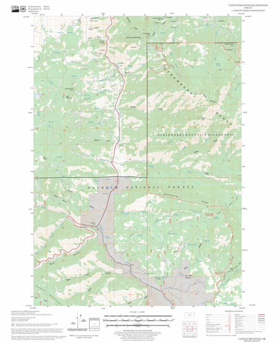 US Forest Service - Topo Canyon Mountain, OR FSTopo Legacy digital map