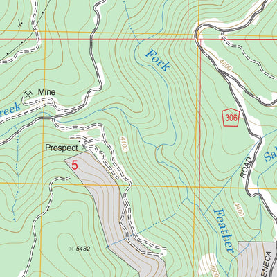 US Forest Service - Topo Canyondam, CA FSTopo Legacy digital map