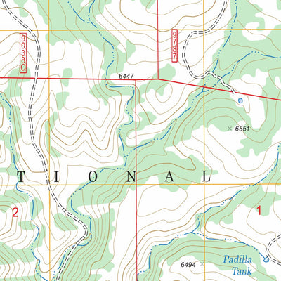US Forest Service - Topo Capitan Pass, NM FSTopo Legacy digital map