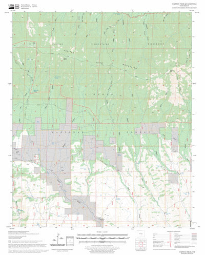 US Forest Service - Topo Capitan Peak, NM FSTopo Legacy digital map