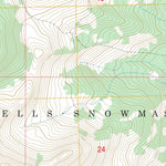 US Forest Service - Topo Capitol Peak, CO FSTopo Legacy digital map