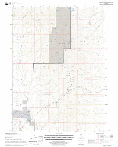 US Forest Service - Topo Capitol Peak, NV FSTopo Legacy digital map
