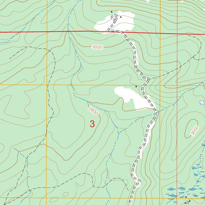 US Forest Service - Topo Careywood, ID FSTopo Legacy digital map