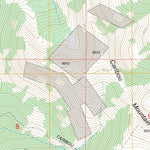 US Forest Service - Topo Caribou Mountain, ID FSTopo Legacy digital map