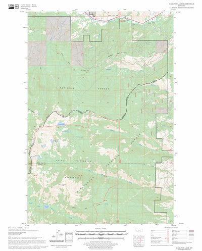 US Forest Service - Topo Carlton Lake, MT FSTopo Legacy digital map