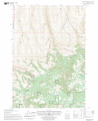 US Forest Service - Topo Carney Butte, OR FSTopo Legacy digital map