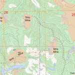 US Forest Service - Topo Carrier Mills, IL FSTopo Legacy digital map